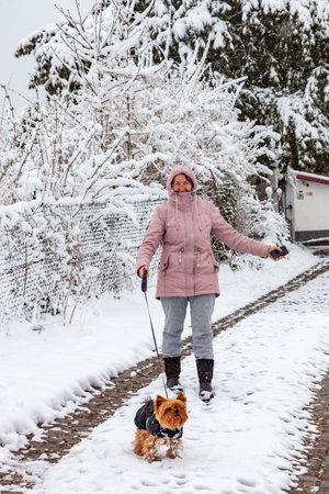 A woman with a dog walks on a snowy street in winterの写真素材