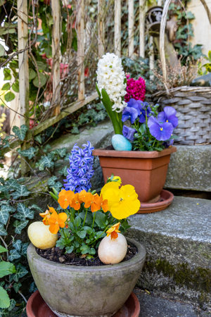 Pots with decorative flowers and Easter eggs stand on the stairsの写真素材