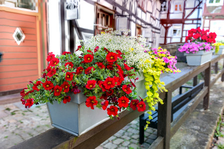 Various decorative flowers in pots outdoors in an old German townの写真素材