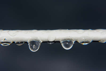 Hanging down water drops from electric cable wire on a rainy day