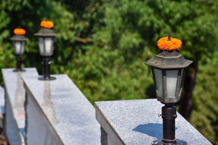 Staircase side wall decorated with marigold flower leaves and light fittingsの写真素材
