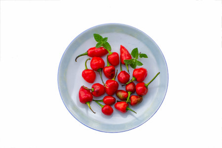 Red Chilli and mint in white plate