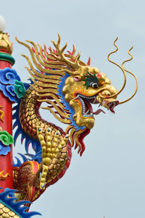 Dragonの写真素材