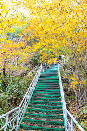 A green metal stairway leads upward through vibrant autumn trees at Daedunsan Mountain in South KoreaA green metal stairway leads upward through vibrant autumn trees at Daedunsan Mountain in South Koreaの写真素材
