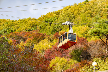 Autumn cable car passing above multicolored forest at Daedunsan Mountain, South Korea. Photo taken on 25 October 2025 during peak fall foliageの写真素材