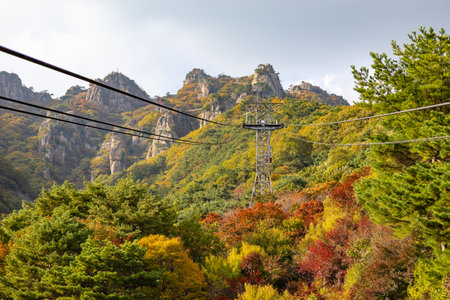 Colorful autumn forest and steep cliffs at Daedunsan Mountain, South Korea, with cable lines stretching across the scene. Photo taken on 25 October 2025の写真素材