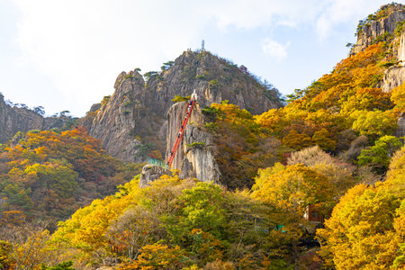 A red stairway climbs a steep rocky cliff surrounded by colorful autumn forest at Daedunsan Mountain in South Koreaの写真素材