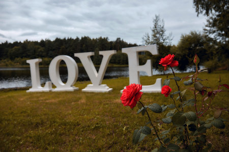 Love, big word LOVE and Roseの写真素材