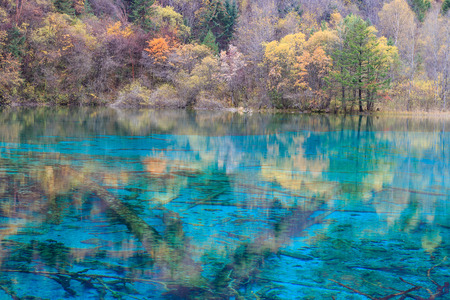 Beautiful and colorful lake and leaves in Jiuzhaigouの写真素材