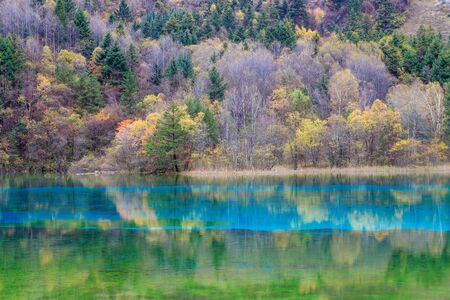 colorful lake and colorful forest in Jiuzhaigouの写真素材