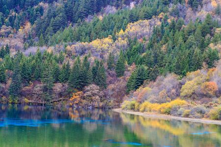 colorful lake and colorful forest in Jiuzhaigouの写真素材
