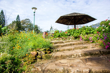 Stairs to journeyの写真素材