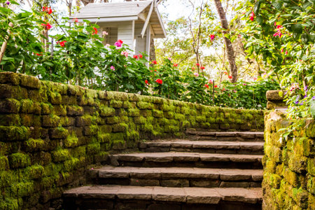 Stairs to journey