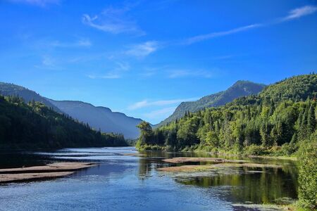 River running through the valley during a bright summer dayの写真素材
