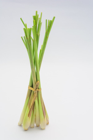 Vertical Lemongrass Isolatedの写真素材