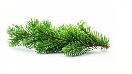 White Background with Green Pine Christmas Tree. AI Generated.の素材