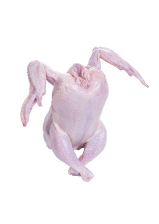 Dancing Raw Chicken Isolated Over Whiteの写真素材