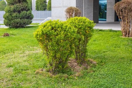 Theme for landscape designの写真素材