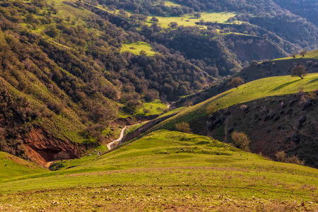 Background with a view of the valley in the mountains with a special moodの写真素材