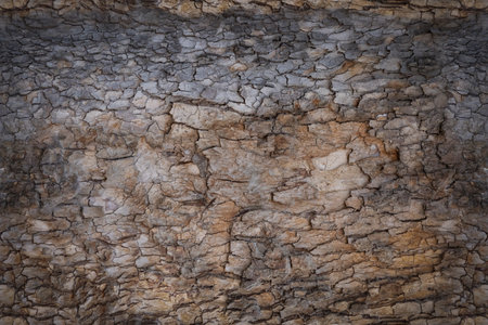 Granular material, solid wood with a structural surface for design textures. Grunge panel with rough coatingの写真素材