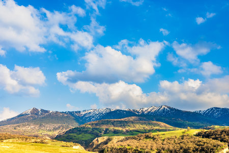 Swiss landscape theme background with green fields and beautiful sky