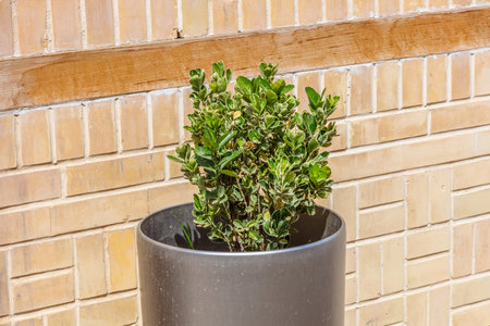 Theme for landscape designの写真素材