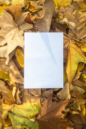 Autumn layout mockup with yellow and orange leaves with postcard for your text.
