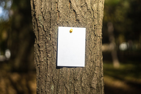 Background with paper mockup for note or message.の写真素材