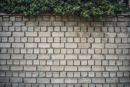 Photo Stone veined pattern useful as a background or texture