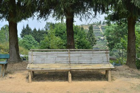 Wood chair under the treeの写真素材