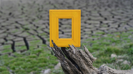 Yellow frame put on stump, cracked background