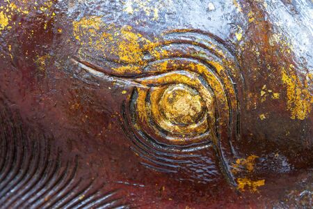close-up to the eye of elephant statue with the gildの写真素材