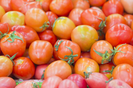 close-up to the tomatoes on the shelf at the fresh marketの写真素材