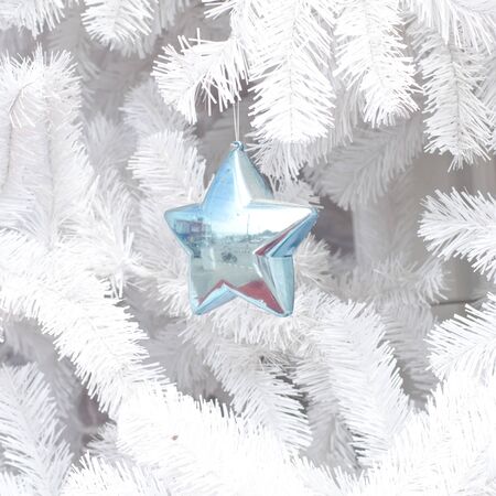 Christmas star の写真素材