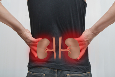 Man pain, kidney infection and kidney pictures.
The concept is easy to understand information about the disease.の写真素材