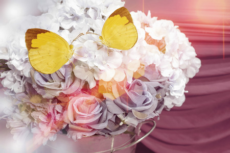Butterflies and Flowers from beautiful decorative fabric for the backdrop.の写真素材
