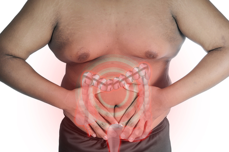 Fat man and fat in the intestine.の写真素材