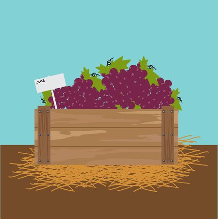 Grape in a wooden crate.のイラスト素材