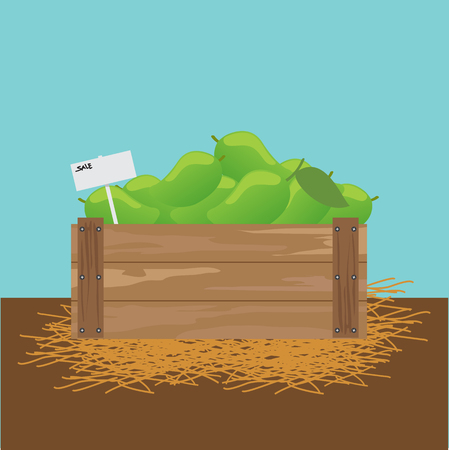 Mango in a wooden crate.のイラスト素材