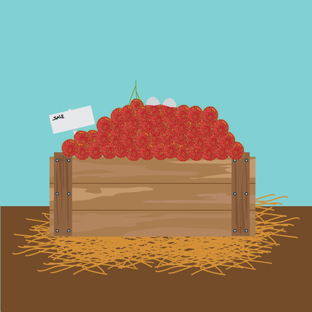 Rambutan in a wooden crate.のイラスト素材