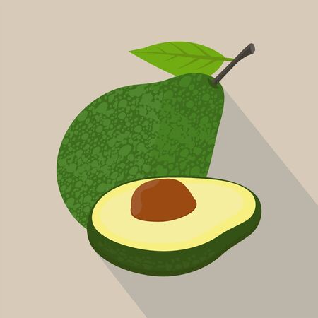 Avocado isolated flat style, Avocado icon isolated on background, Avocado on a light Background, vector illustration.のイラスト素材