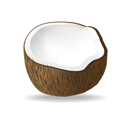 Half coconut isolated on white background. Realistic vector illustration.のイラスト素材