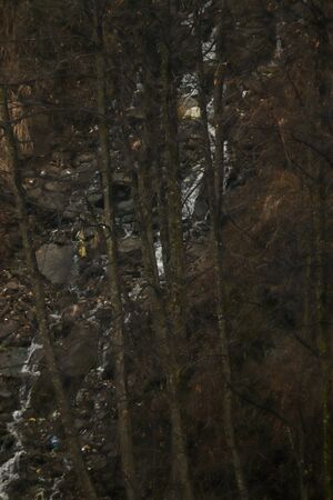 a small waterfall flowing through the rocks. waterfall having rocks and trees on both the sides .の写真素材