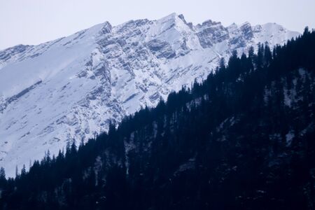snow-covered mountain in the background with mountain covered with pine trees in the front.の写真素材