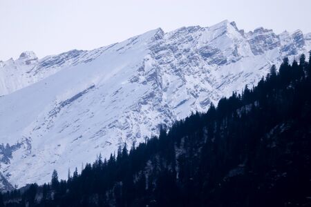 snow-covered mountain in the background with mountain covered with pine trees in the front.の写真素材