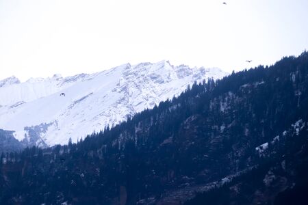 snow-covered mountain in the background with mountain covered with pine trees in the front.の写真素材