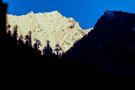 sunrise on the snow-covered mountain. The mountain in the front is covered with pine trees.の写真素材