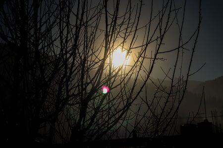 Lens Flare ,Sun Flare on black background object designの写真素材