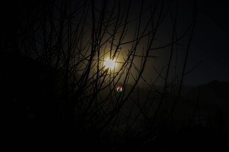 Lens Flare ,Sun Flare on black background object designの写真素材