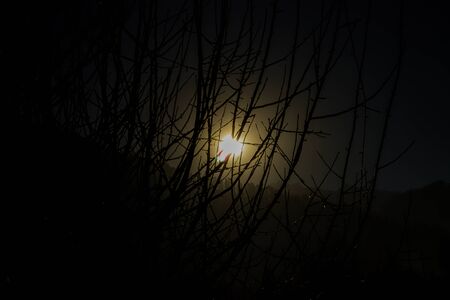 Lens Flare ,Sun Flare on black background object designの写真素材